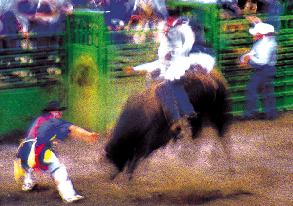 Rodeo Bulldogging, Ketchum, Idaho, 2000